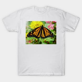 621 monarch T-Shirt